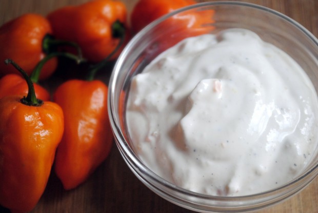 Garlic Habanero Sour Cream l SimplyScratch.com