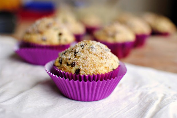 Chocolate Chip Muffins l SimplyScratch.com