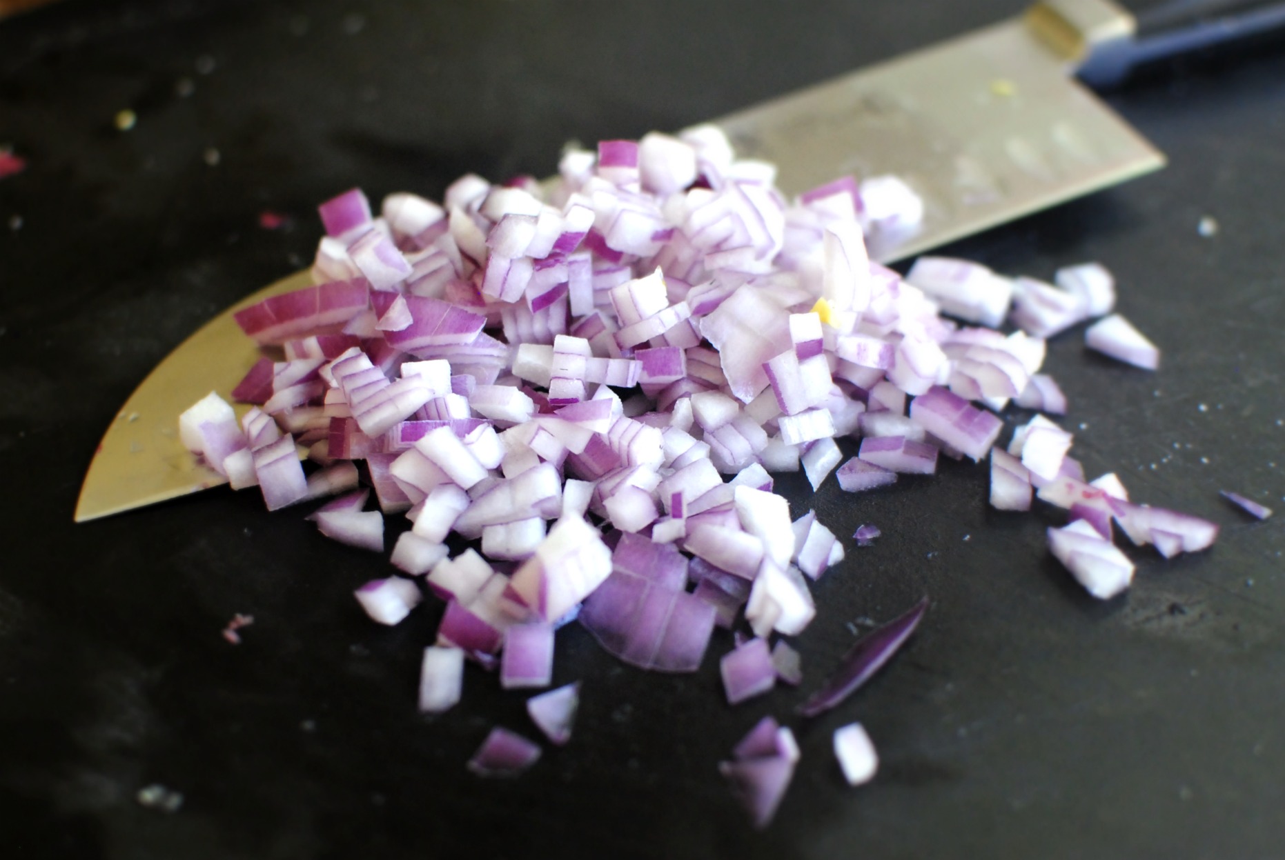 Dice Onion In Thermomix at Elizabeth Martinez blog