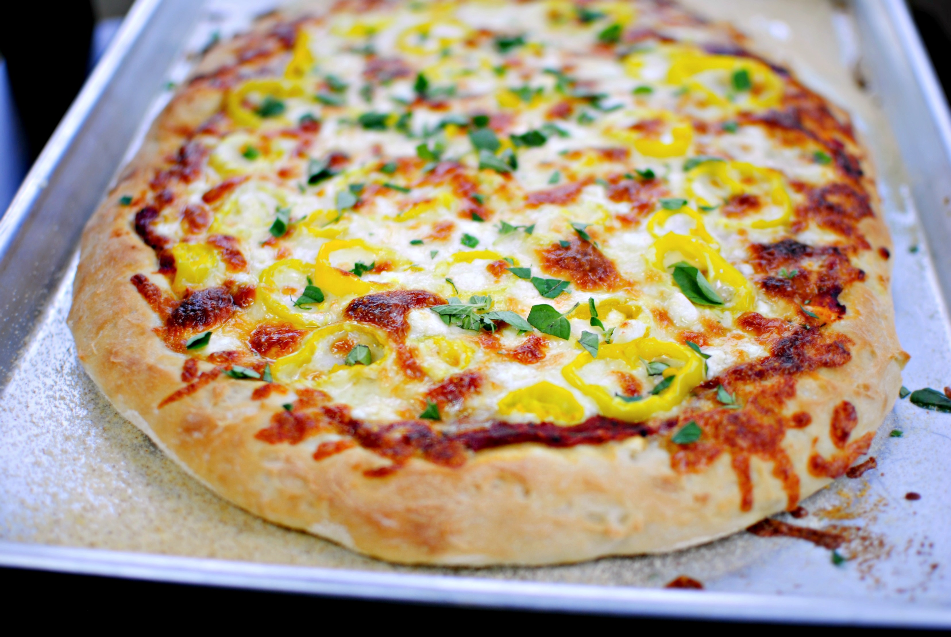 Simply Scratch fresh oregano Simply Scratch