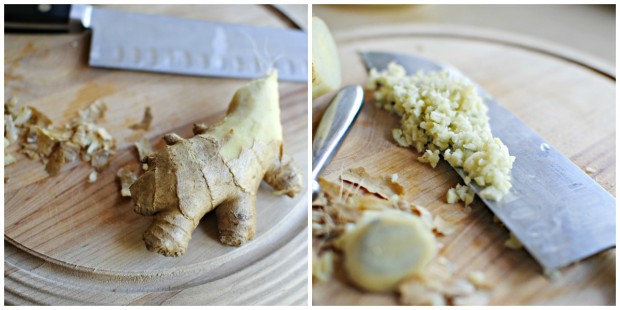 ginger collage