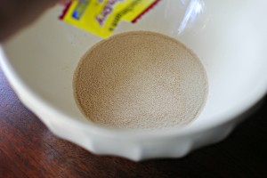 sprinkling of yeast