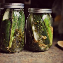 Homemade Sour & Spicy Dill Pickles