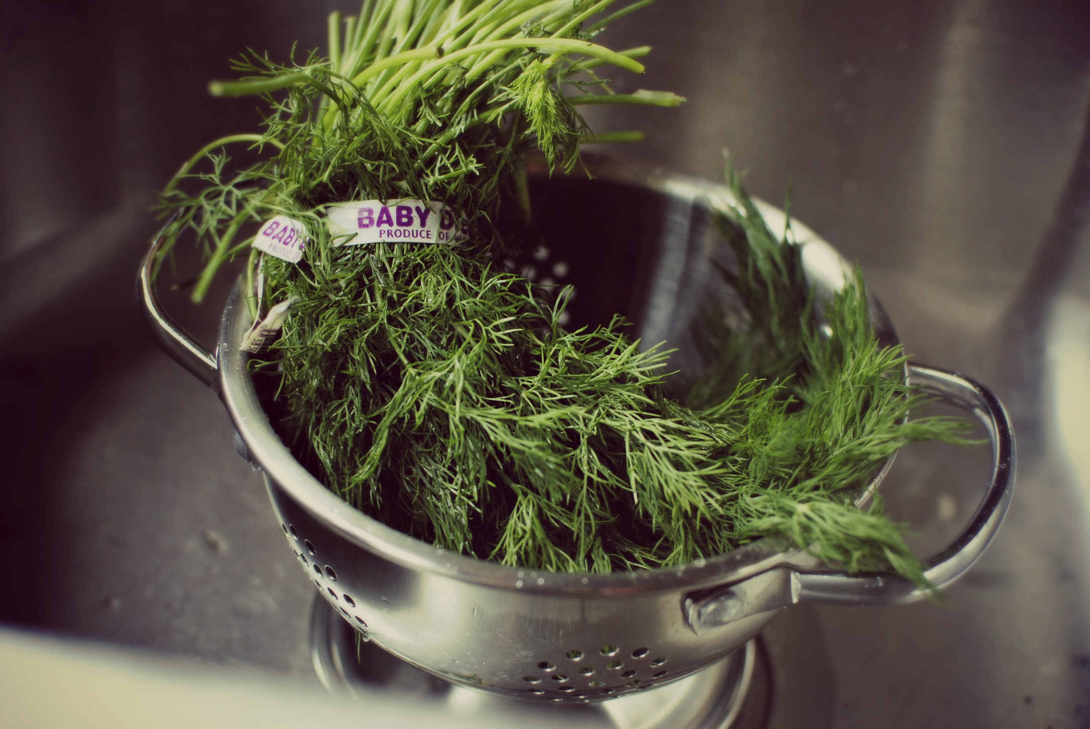 Simply Scratch dill washed and drained Simply Scratch