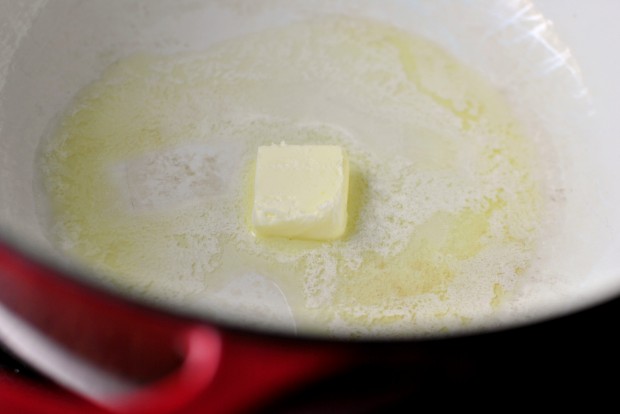 Dutch Oven Recipes Chicken Pot Pie