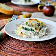Tasty-Kitchen-Blog-White-Cheese-and-Chicken-Lasagna-19