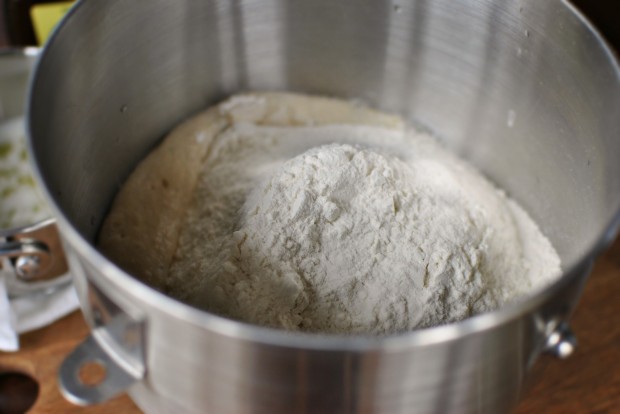 flour into yeast