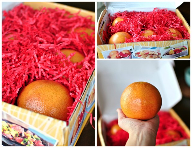 grapefruit collage