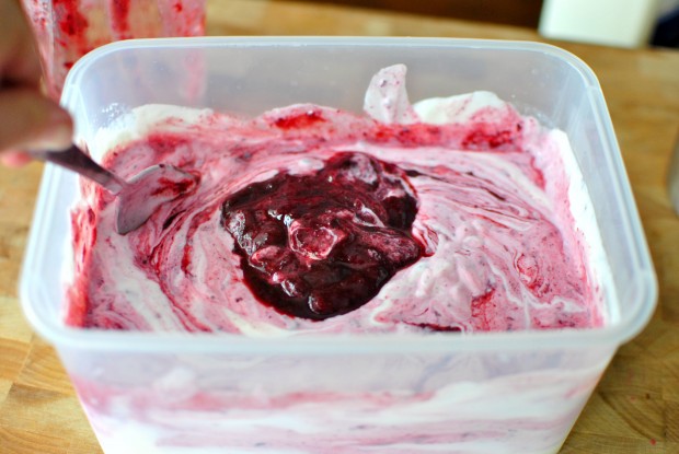 Black-Cherry-and-Dark-Chocolate-Chip-Froyo-last-of-the-puree