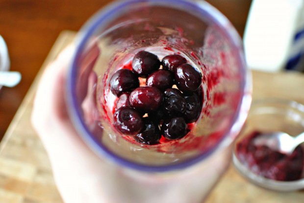 Black-Cherry-and-Dark-Chocolate-Chip-Froyo-rest