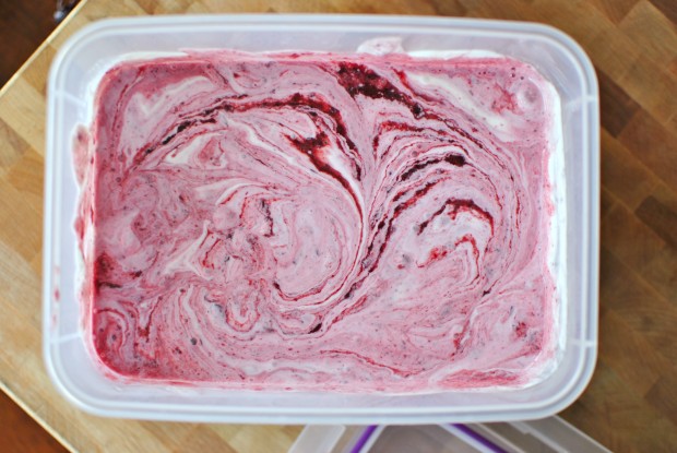 Black-Cherry-and-Dark-Chocolate-Chip-Froyo-swirl