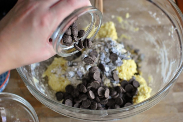 dark choc chips