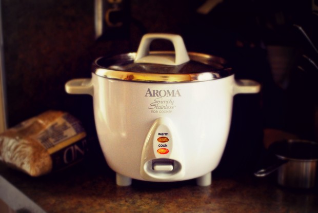 rice cooker