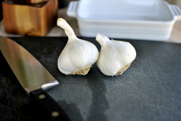 garlic