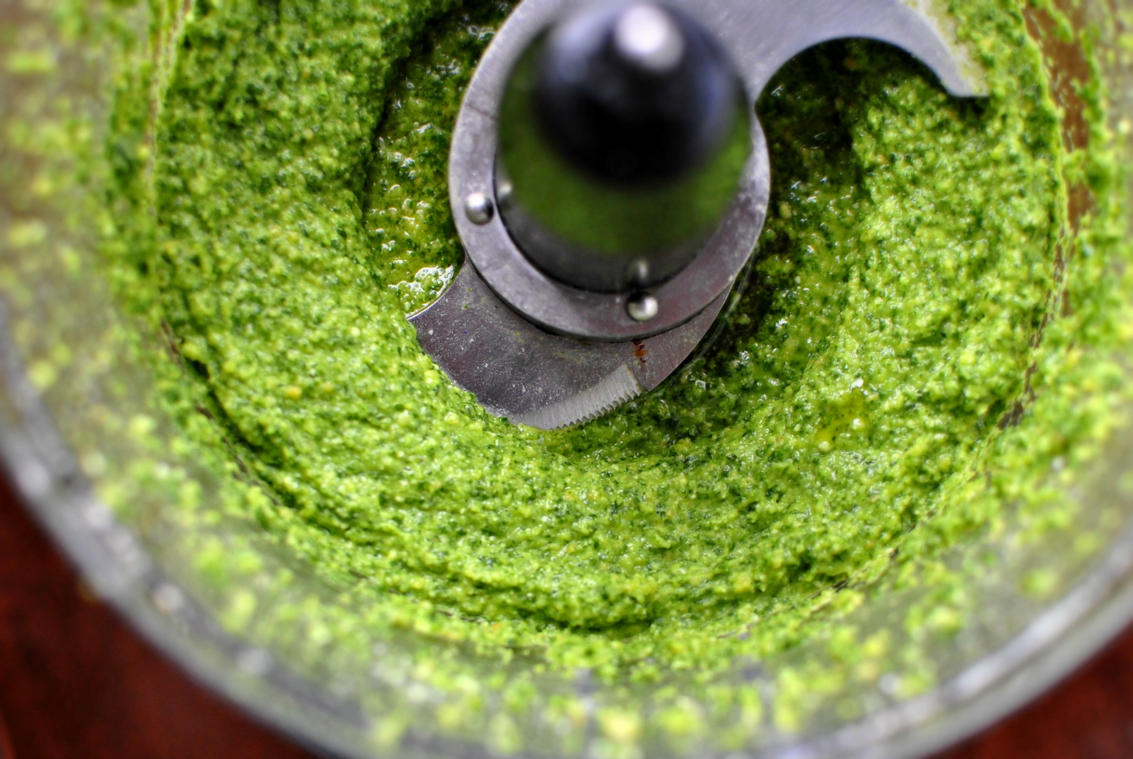 Simply Scratch Easy Homemade Cilantro Pesto Simply Scratch