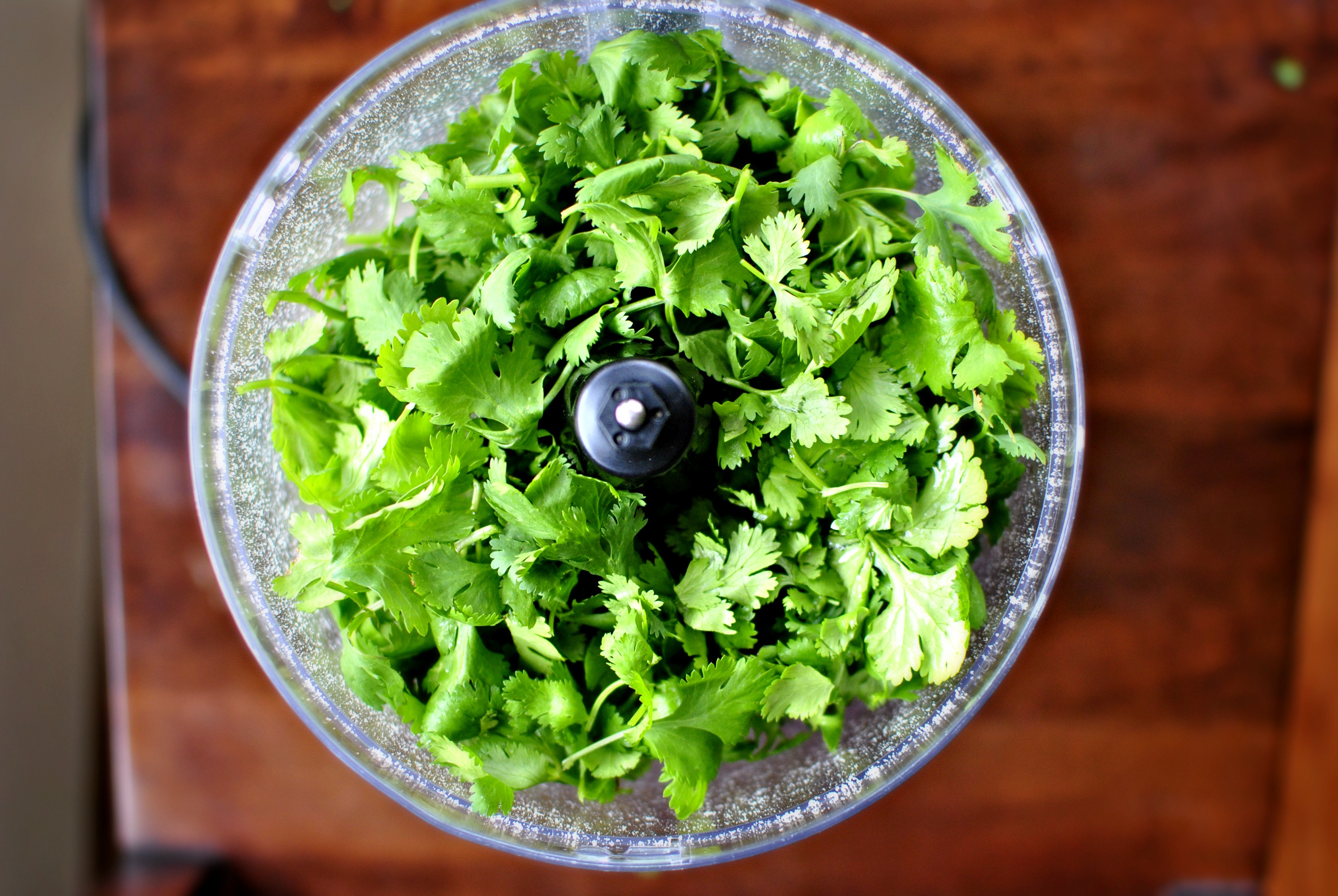 Simply Scratch Easy Homemade Cilantro Pesto Simply Scratch