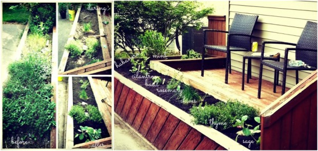 herb garden