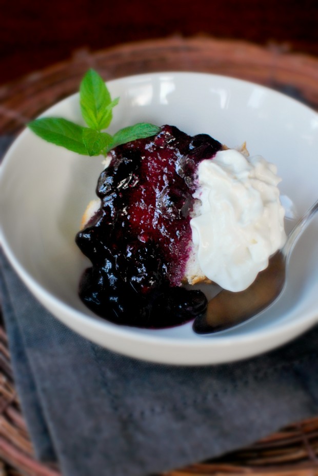 Roasted Red Wine Blueberry Sauce