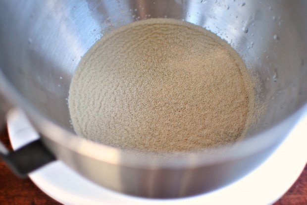 yeast sprinkle