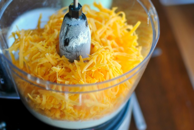 cheddar