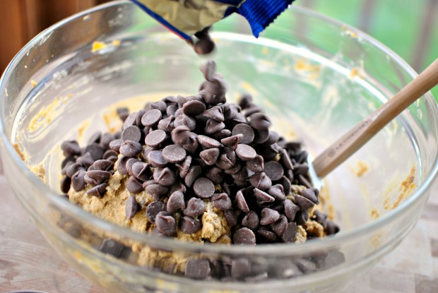 chocolate chips