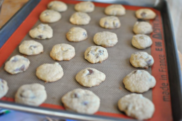 mini chocolate chip cookies l SimplyScratch.com