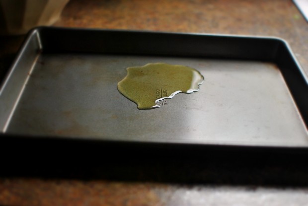 olive oil the pan