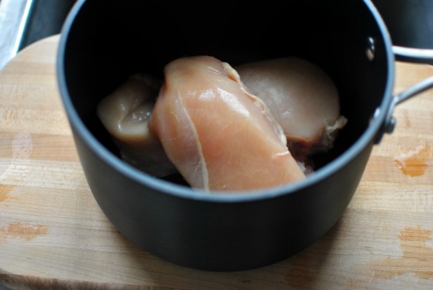 chicken