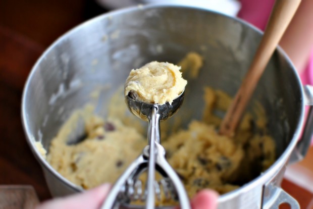 Chocolate Chip Sprinkle Cookies l www.SimplyScratch.com scoop