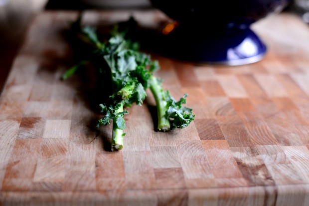 Crispy Baked Kale Chips + Quick Curry Ketchup l www.SimplyScratch (16)