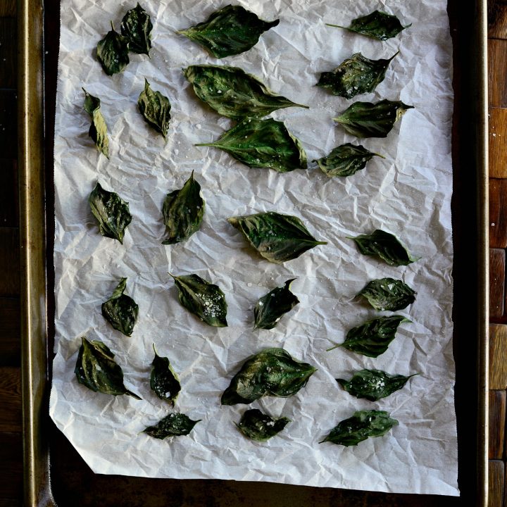 Simply Scratch Cheesy Roasted Garlic Chip Dip Simply Scratch