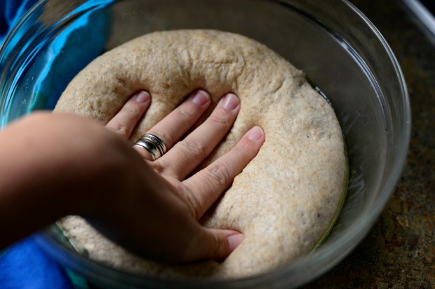 Whole Wheat Salted Pumpkin Spice Knots l SimplyScratch.com (2)