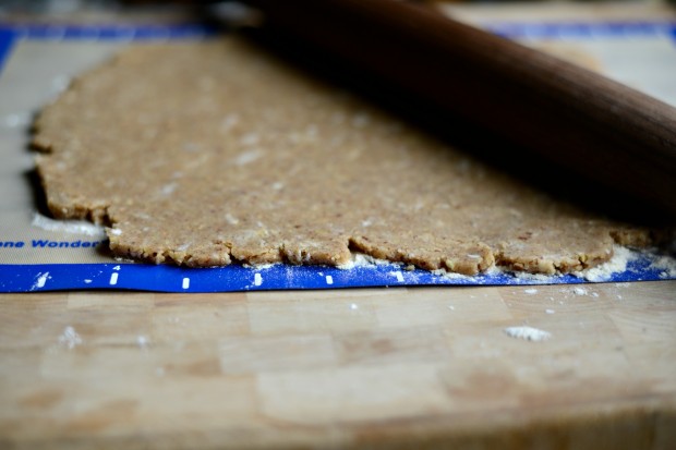 Pecan Whole Wheat Pie Crust l SimplyScratch (18)