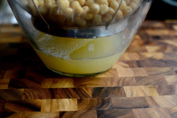 Za'atar + Roasted Garlic Hummus l SimplyScratch.com (4)
