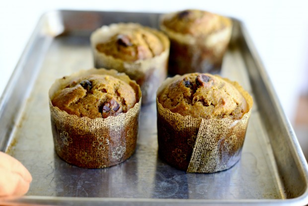 Pumpkin Chocolate Chip Muffins l SimplyScratch.com (23)