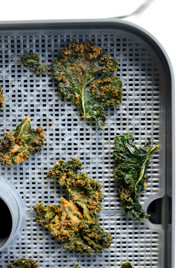 Dehydrated Sriracha + Garlic Kale Chips l SimplyScratch.com 