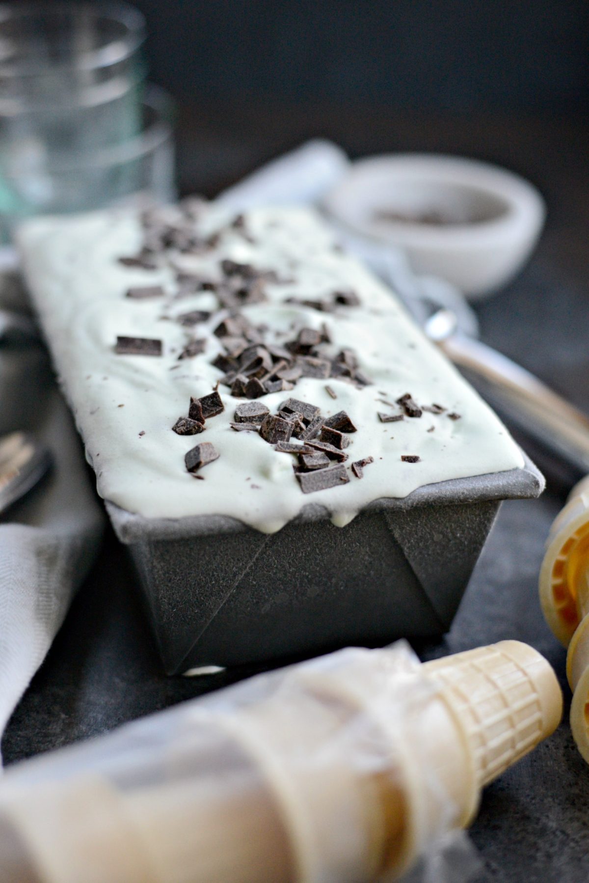 Mint Chocolate Chip Ice Cream l SimplyScratch.com (19)