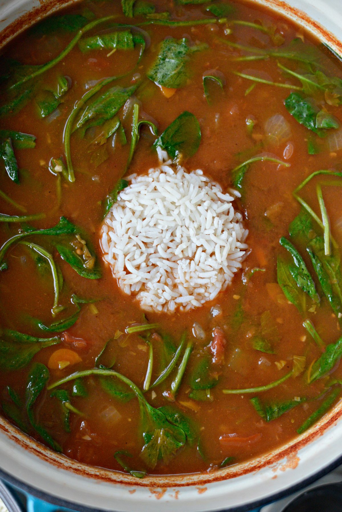 Tomato Florentine Soup with Rice l SimplyScratch.com (8)