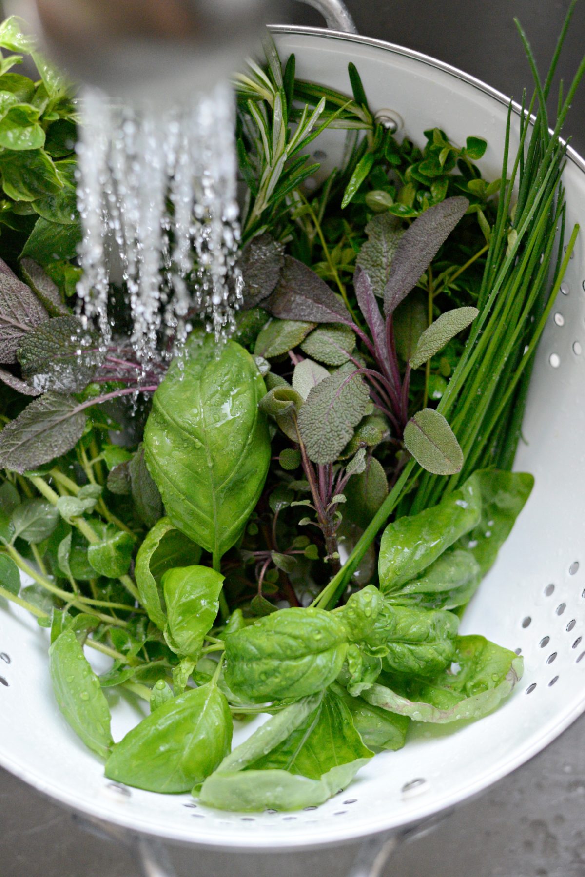 3 Ways to Freeze Herbs with Pampered Chef l SimplyScratch.com (2)