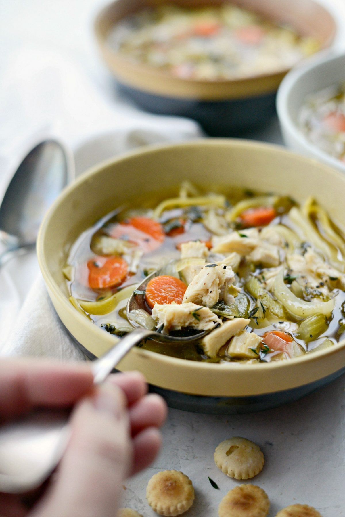 Leftover Turkey Noodle Soup - Simply Scratch