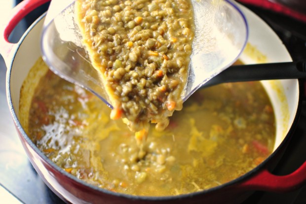 Simply Scratch Healthy + Hearty Vegetarian Lentil Soup - Simply Scratch