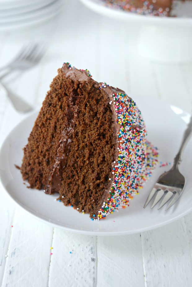 Slice of Homemade Chocolate Cake with Chocolate Frosting