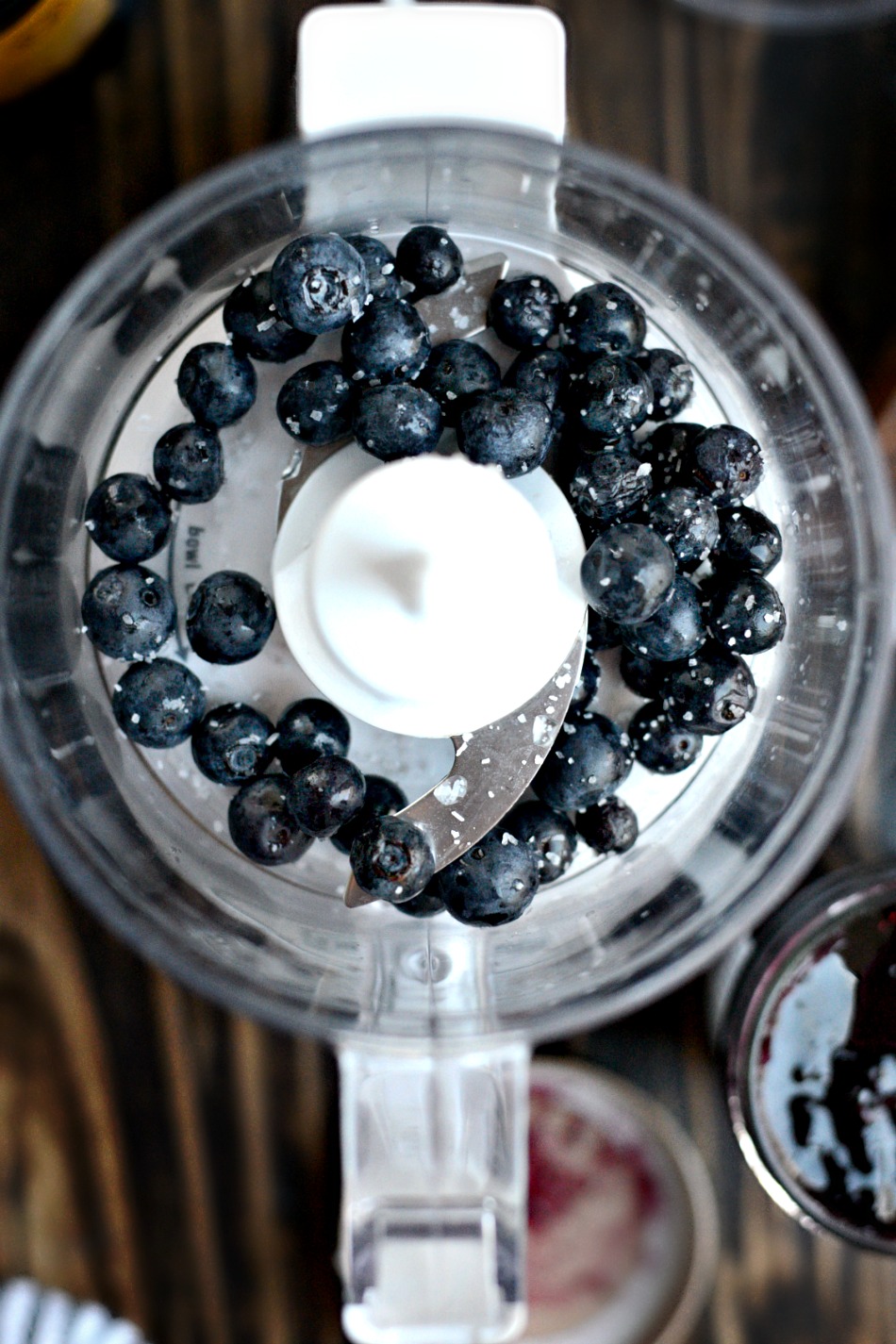 blueberries in mini food processor