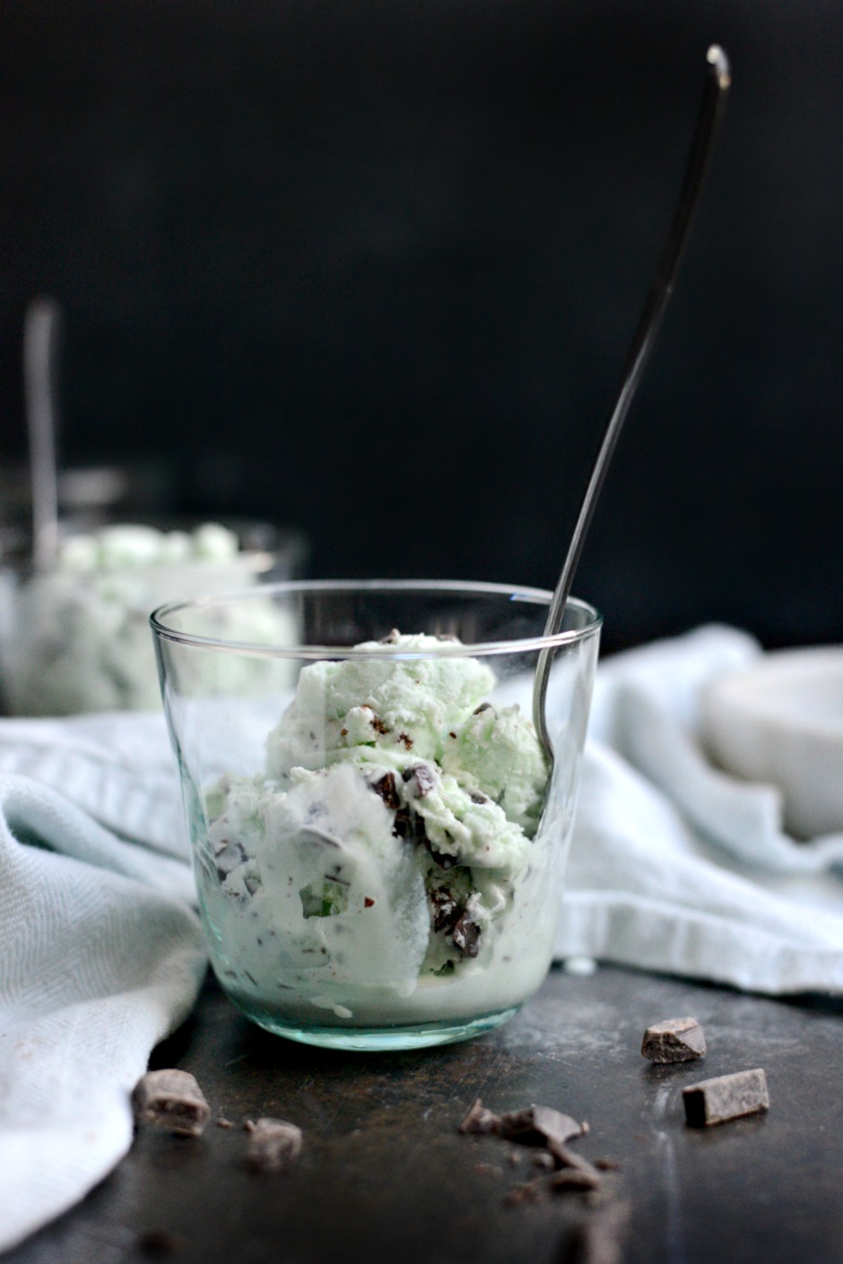 bowl of Mint Chocolate Chip Ice Cream