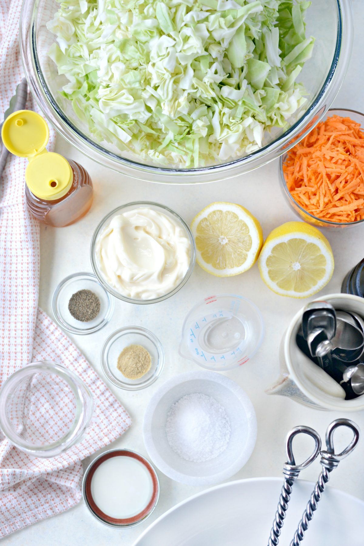 Classic Coleslaw Recipe with Homemade Dressing ingredients