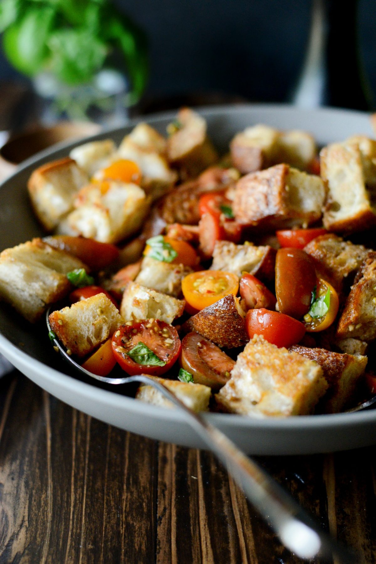 Tomato Bruschetta Panzanella