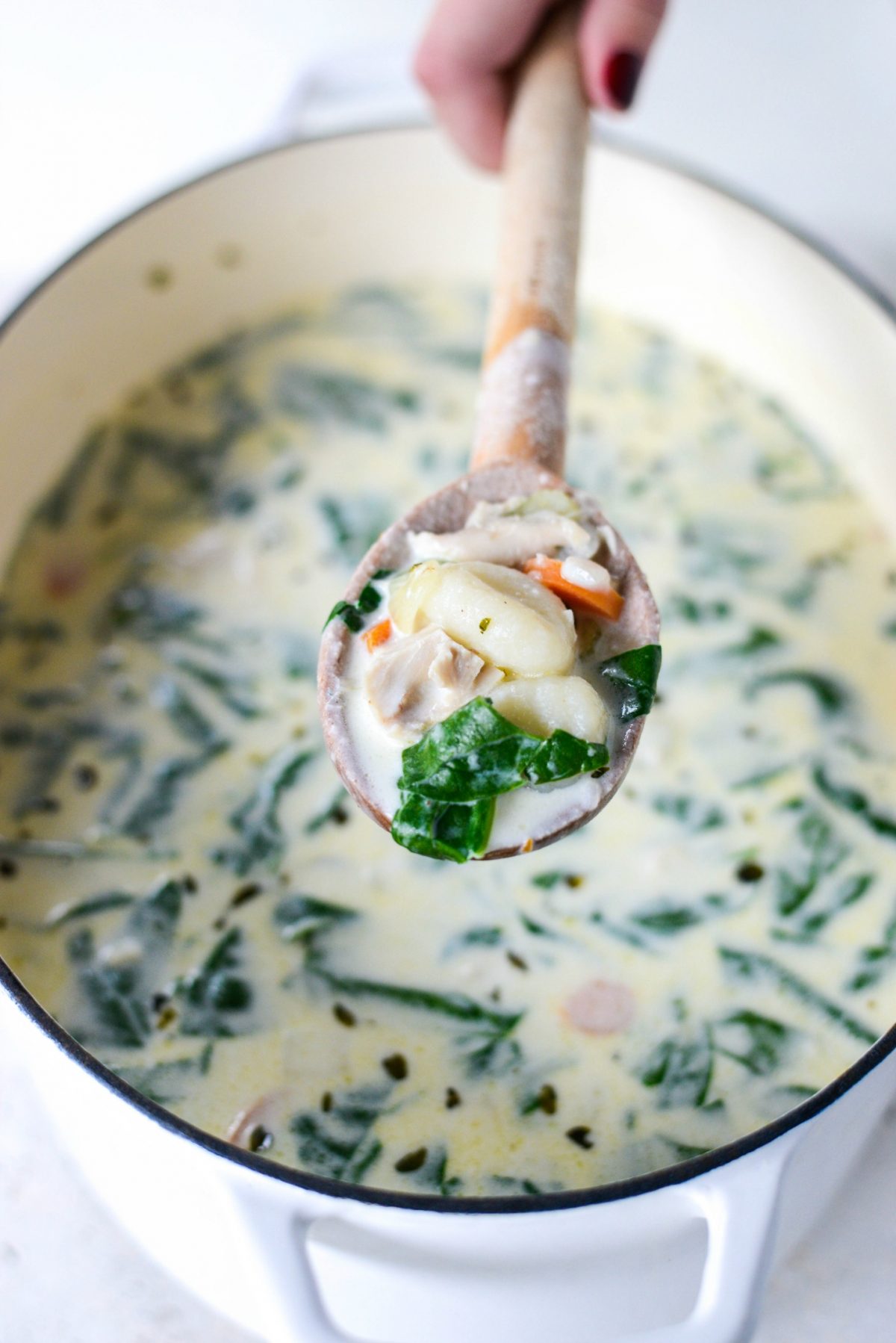 Spoonful of Creamy Chicken Gnocchi Soup