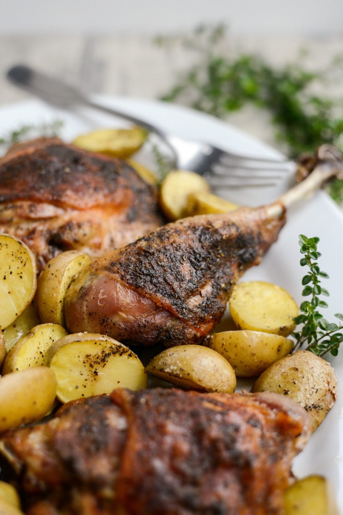 close up of Roasted Turkey drumstick.