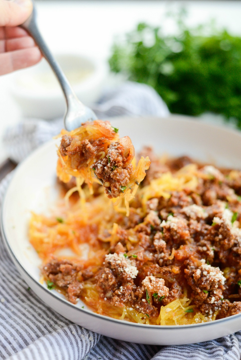 Best Basic Meat Sauce Recipe 