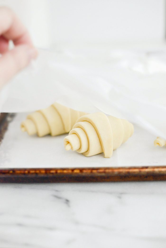 lightly cover and let rise